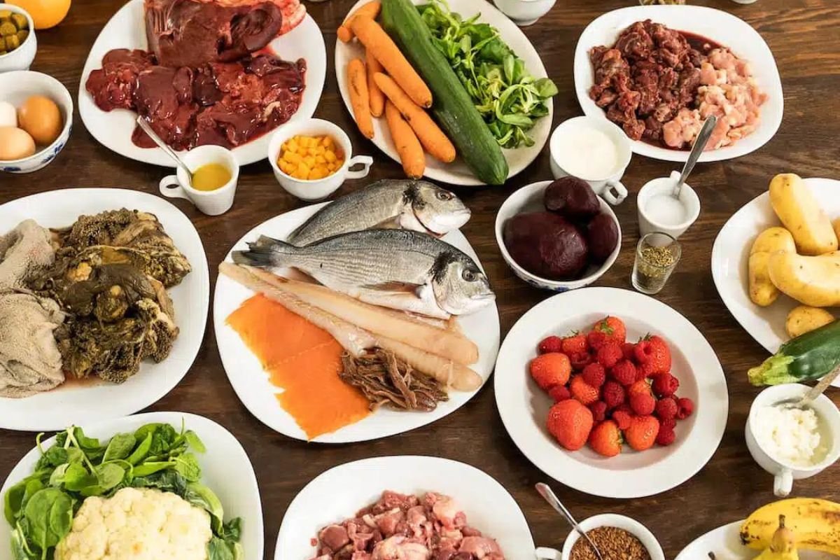 Ingredientes frescos y naturales usados en la dieta BARF para perros y gatos, incluyendo carne, vísceras, pescado, frutas y vegetales sobre una mesa