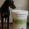 Dobermann steht neben einem weißen Gärbehälter mit fermentierendem Gemüse und BARFIX Logo – BARFIX BARF XALAPA.